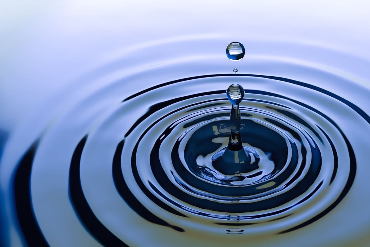 Presence That Echoes: When Leadership Becomes Who You Are
